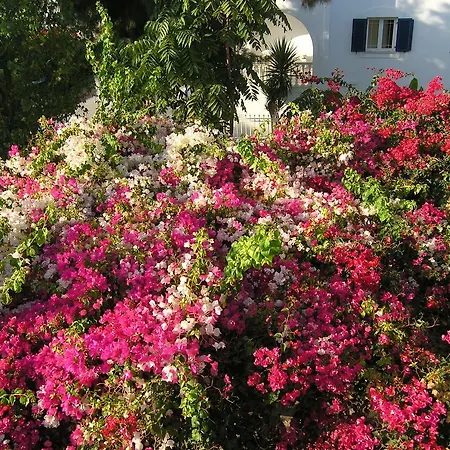 Chanioti Guest house Parikia (Paros)
