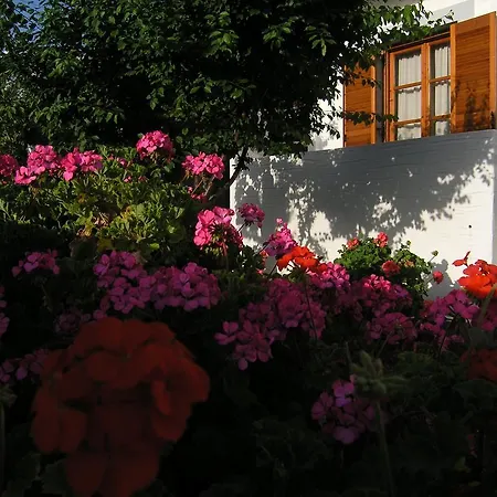 Chanioti Guest house
