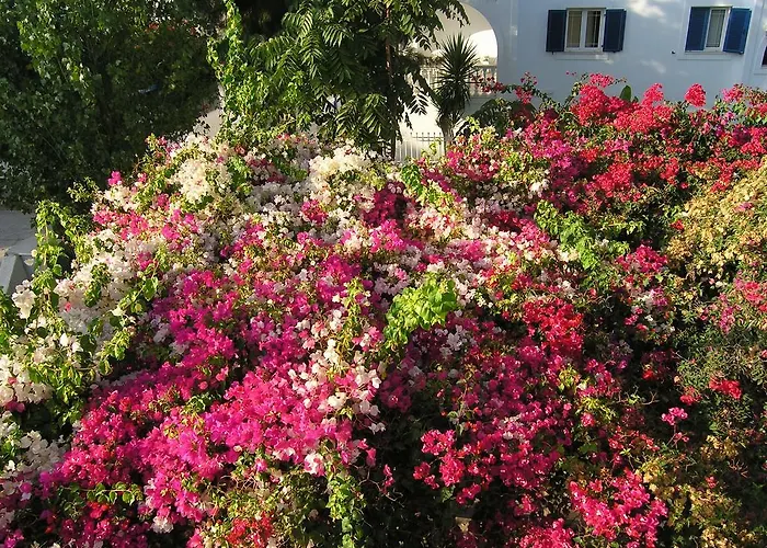 Chanioti Pensión Páros